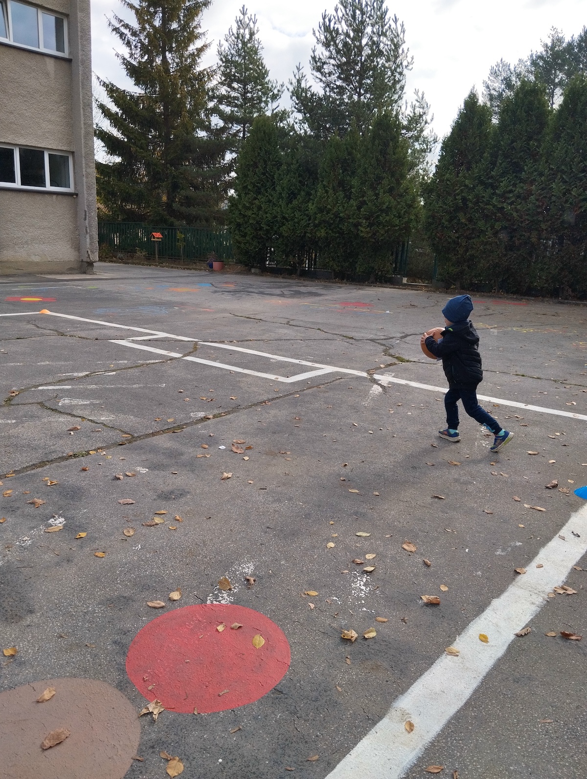 IMG_20261013_102258.jpg